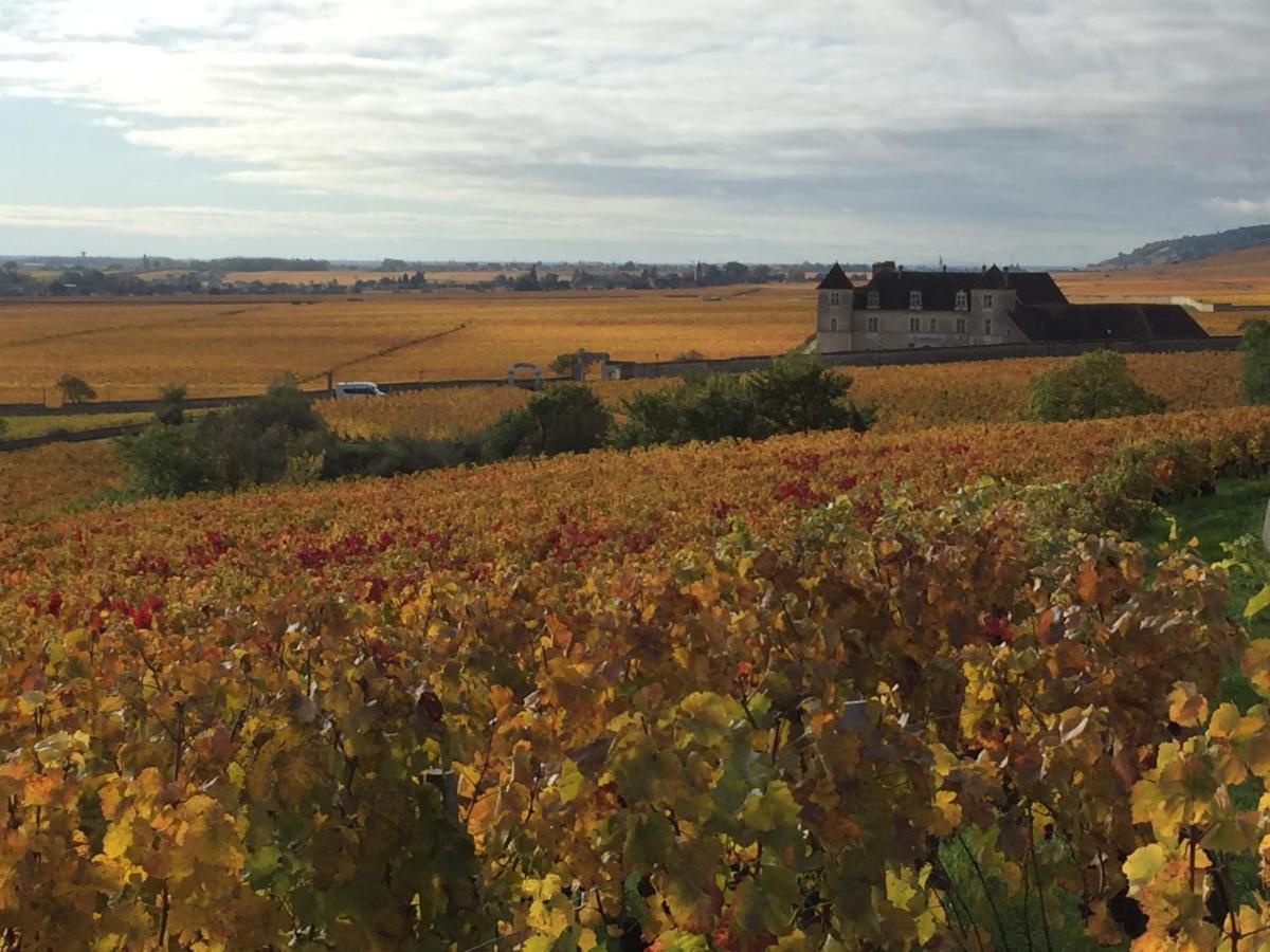 Les Hauts De Fixin, 50M2 Avec Exterieur Sur La Route Des Grands Crus, Dijon Sud Ngoại thất bức ảnh