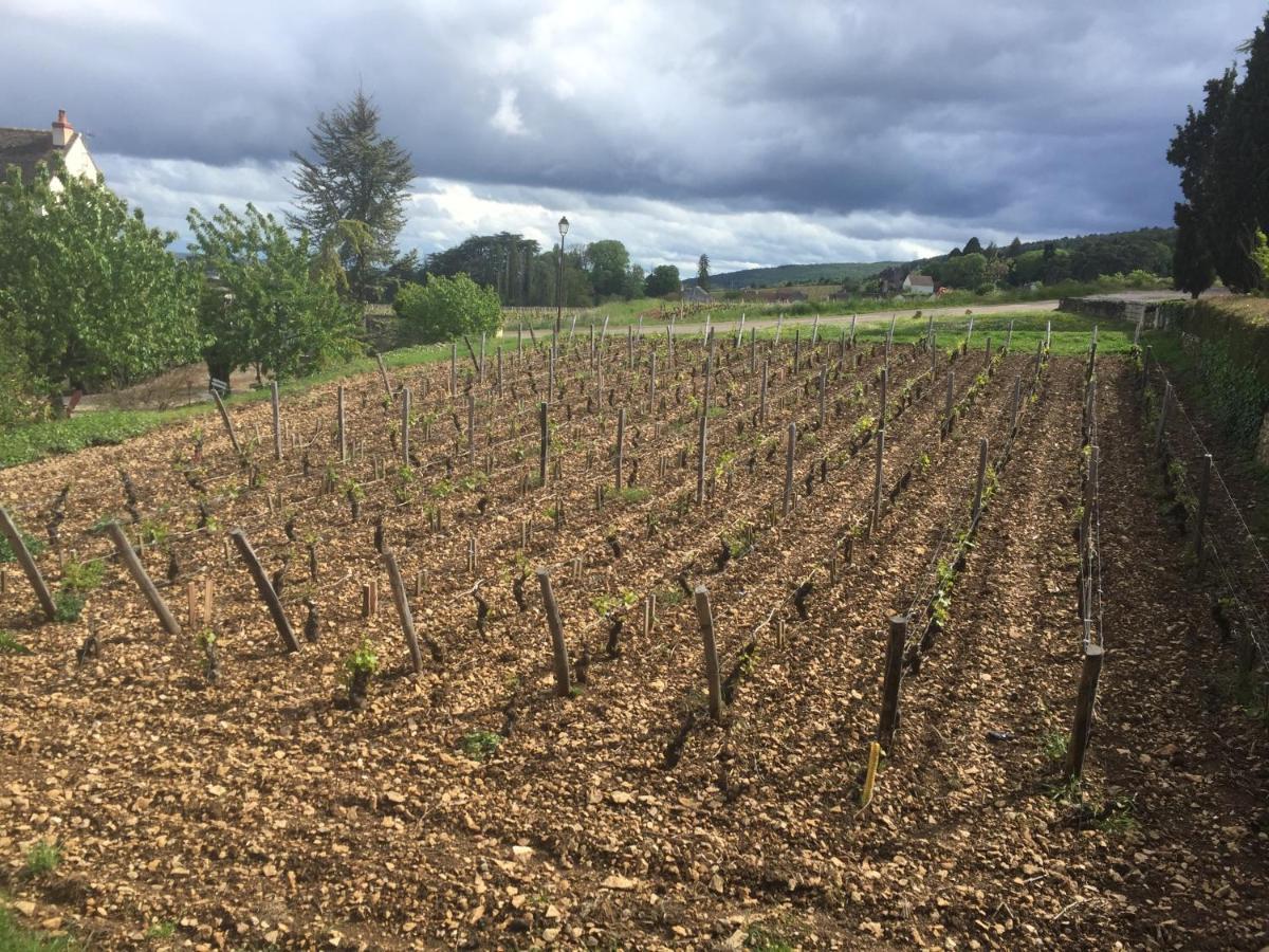 Les Hauts De Fixin, 50M2 Avec Exterieur Sur La Route Des Grands Crus, Dijon Sud Ngoại thất bức ảnh